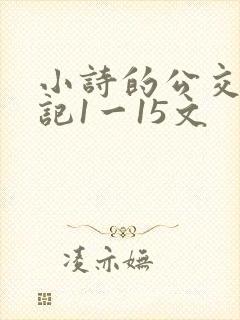 小诗的公交车日记1一15文
