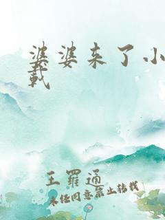 婆婆来了小说下载