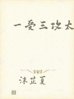 一受三攻太涨了