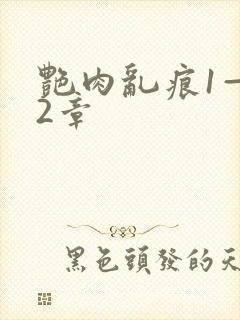 艳肉乱痕1—12章