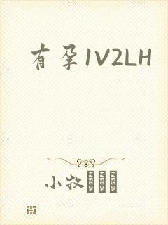有孕1V2LH