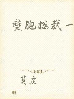 双胞总裁一个妻