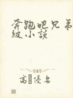 奔跑吧兄弟限制级小说