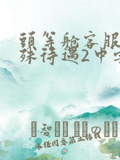 头等舱客服的特殊待遇2中字