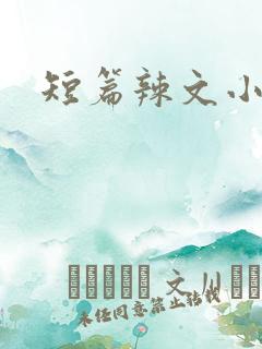 短篇辣文小说