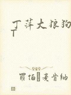 丁萍大狼狗TXT