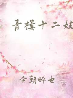 青楼十二妓