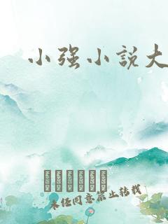 小强小说大全