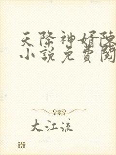 天降神婿陈黄皮小说免费阅读