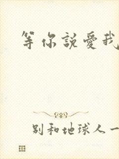 等你说爱我小说