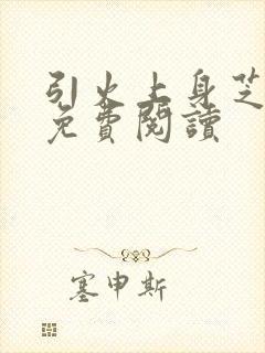 引火上身芝麻糖免费阅读