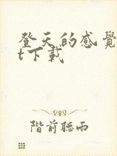 登天的感觉txt下载