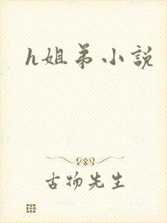 h姐弟小说