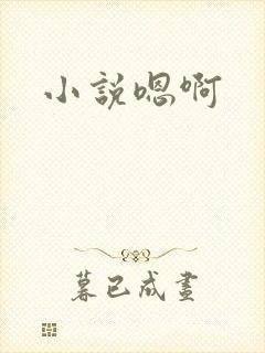 小说嗯啊