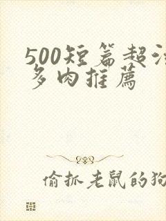 500短篇超污多肉推荐