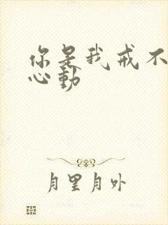 你是我戒不掉的心动