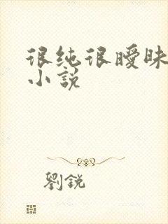 很纯很暧昧有声小说