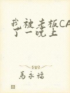 我被老板CAO了一晚上