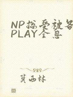 NP总受被各种PLAY全息