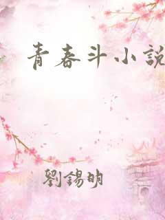 青春斗小说