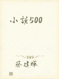 小说500