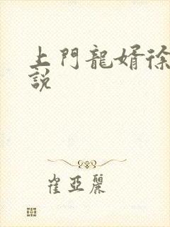 上门龙婿徐阳小说