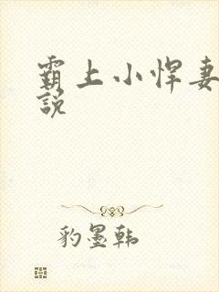 霸上小悍妻 小说