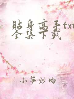 贴身高手txt全集下载