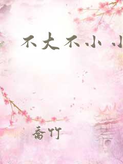 不大不小 小说