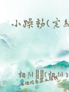 小躁动(完结)