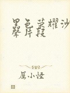 黑色荣耀沙发原声片段