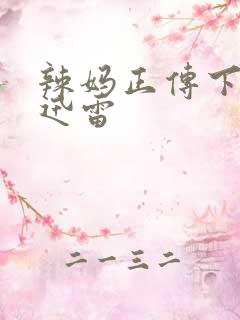 辣妈正传下载 迅雷