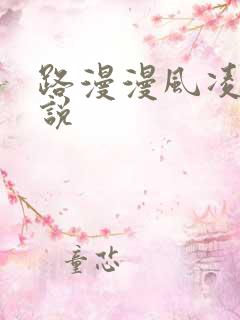 路漫漫风凌轩小说