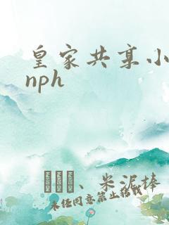 皇家共享小公主nph
