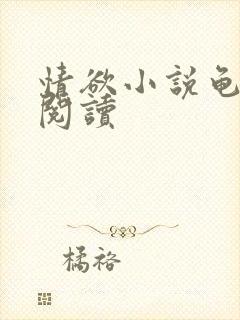 情欲小说龟全文阅读