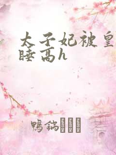 太子妃被皇上强睡高h