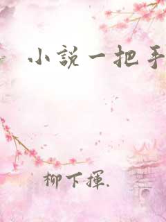 小说一把手
