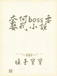 奈何boss要娶我小说