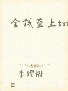 金钱至上txt