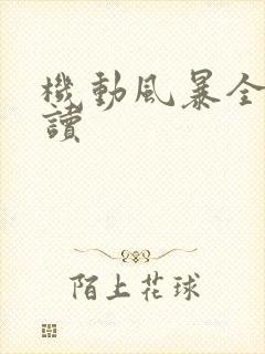 机动风暴全文阅读