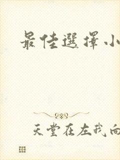 最佳选择小说