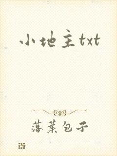 小地主txt