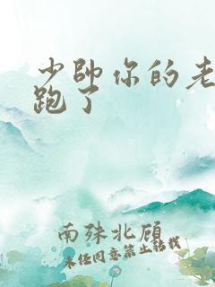 少帅你的老婆又跑了