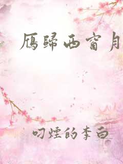 雁归西窗月小说