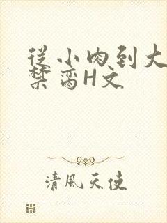从小肉到大师傅禁脔H文