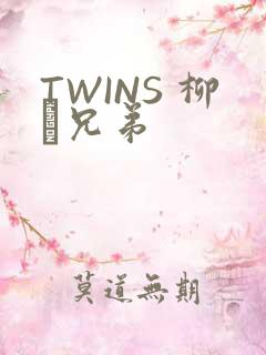 TWINS 柳澤兄弟