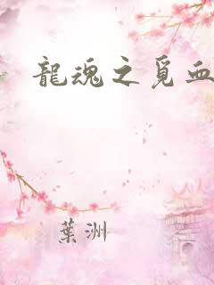 龙魂之觅血心缘