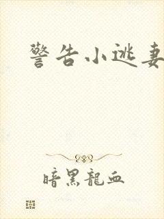 警告小逃妻