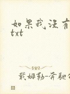 如果我没有爱过txt
