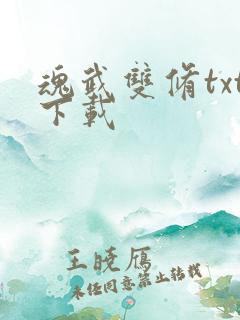 魂武双修txt下载